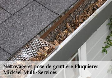 Nettoyage et pose de gouttière fluquieres-02590 Mickael Multi-Services