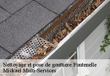 Nettoyage et pose de gouttière fontenelle-02170 Mickael Multi-Services