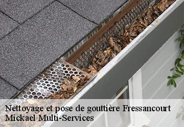 Nettoyage et pose de gouttière fressancourt-02800 Mickael Multi-Services