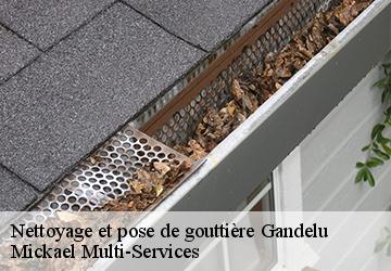 Nettoyage et pose de gouttière gandelu-02810 Mickael Multi-Services