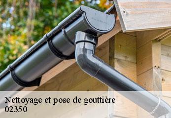 Nettoyage et pose de gouttière  goudelancourt-les-pierrepont-02350 M.Reinhardt