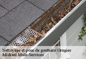 Nettoyage et pose de gouttière grugies-02680 Mickael Multi-Services