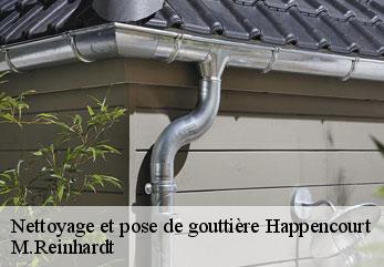 Nettoyage et pose de gouttière  happencourt-02480 M.Reinhardt