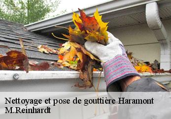 Nettoyage et pose de gouttière  haramont-02600 M.Reinhardt