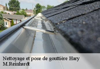 Nettoyage et pose de gouttière  hary-02140 M.Reinhardt