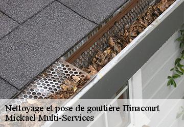 Nettoyage et pose de gouttière hinacourt-02440 Mickael Multi-Services