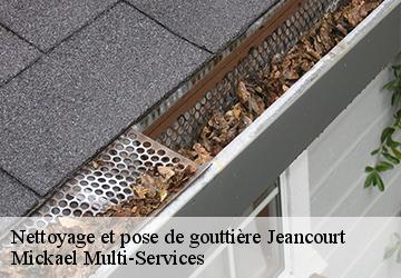 Nettoyage et pose de gouttière jeancourt-02490 Mickael Multi-Services