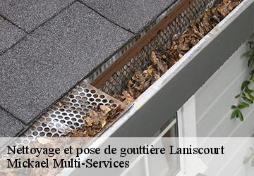 Nettoyage et pose de gouttière laniscourt-02000 Mickael Multi-Services