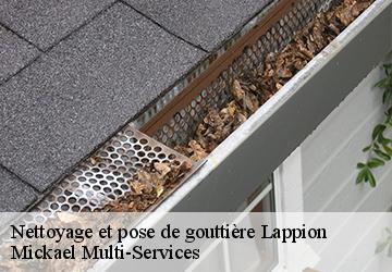 Nettoyage et pose de gouttière lappion-02150 Mickael Multi-Services