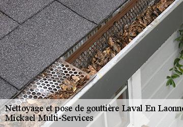 Nettoyage et pose de gouttière laval-en-laonnois-02860 Mickael Multi-Services