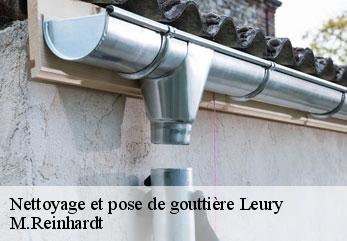 Nettoyage et pose de gouttière  leury-02880 M.Reinhardt