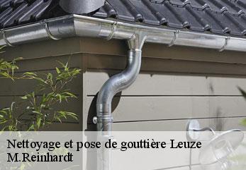 Nettoyage et pose de gouttière  leuze-02500 M.Reinhardt