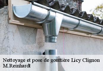 Nettoyage et pose de gouttière  licy-clignon-02810 M.Reinhardt