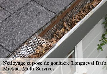 Nettoyage et pose de gouttière longueval-barbonval-02160 Mickael Multi-Services