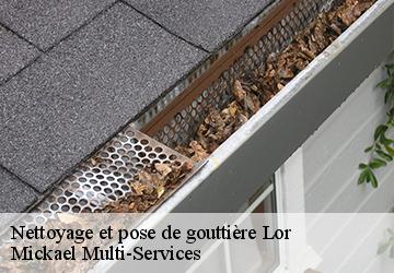 Nettoyage et pose de gouttière lor-02190 Mickael Multi-Services