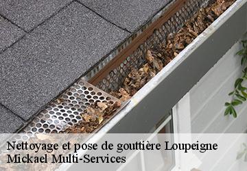 Nettoyage et pose de gouttière loupeigne-02130 Mickael Multi-Services