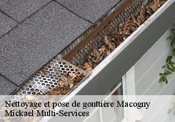 Nettoyage et pose de gouttière  macogny-02470 Harrison Spengler couvreur 02