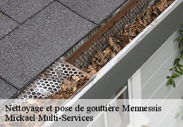 Nettoyage et pose de gouttière mennessis-02700 Mickael Multi-Services