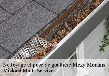 Nettoyage et pose de gouttière mezy-moulins-02650 Mickael Multi-Services