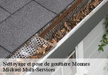 Nettoyage et pose de gouttière monnes-02470 Mickael Multi-Services