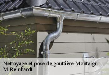 Nettoyage et pose de gouttière  montaigu-02820 M.Reinhardt