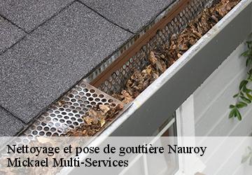 Nettoyage et pose de gouttière nauroy-02420 Mickael Multi-Services