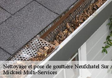 Nettoyage et pose de gouttière neufchatel-sur-aisne-02190 Mickael Multi-Services