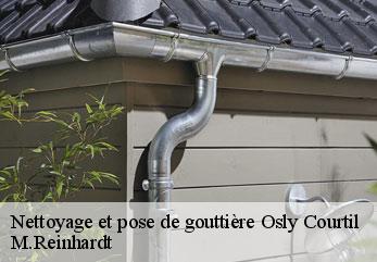 Nettoyage et pose de gouttière  osly-courtil-02290 M.Reinhardt