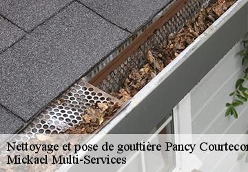 Nettoyage et pose de gouttière pancy-courtecon-02860 Mickael Multi-Services