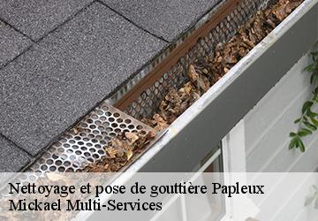 Nettoyage et pose de gouttière papleux-02260 Mickael Multi-Services