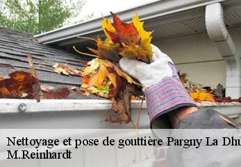 Nettoyage et pose de gouttière pargny-la-dhuys-02330 M.Reinhardt