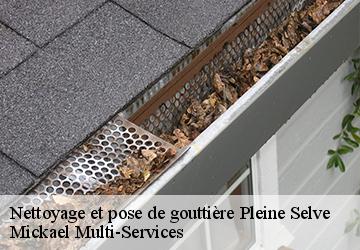 Nettoyage et pose de gouttière pleine-selve-02240 Mickael Multi-Services
