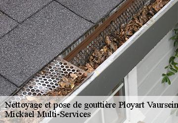 Nettoyage et pose de gouttière ployart-vaurseine-02860 Mickael Multi-Services