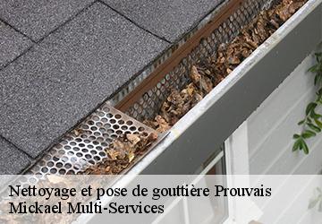 Nettoyage et pose de gouttière prouvais-02190 Mickael Multi-Services