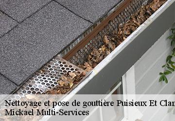 Nettoyage et pose de gouttière puisieux-et-clanlieu-02120 Mickael Multi-Services