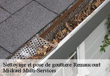 Nettoyage et pose de gouttière remaucourt-02100 Mickael Multi-Services