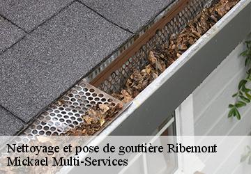 Nettoyage et pose de gouttière ribemont-02240 Mickael Multi-Services
