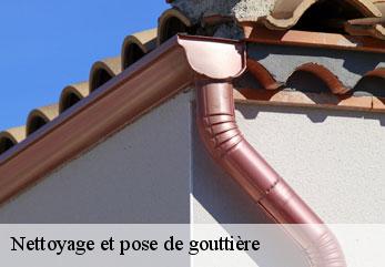 Nettoyage et pose de gouttière rouvroy-02100 M.Reinhardt