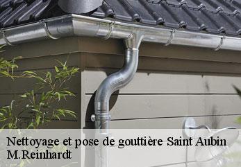 Nettoyage et pose de gouttière saint-aubin-02300 M.Reinhardt