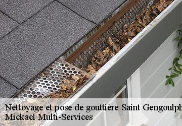 Nettoyage et pose de gouttière saint-gengoulph-02810 Mickael Multi-Services
