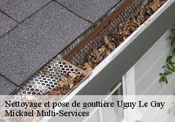 Nettoyage et pose de gouttière ugny-le-gay-02300 Mickael Multi-Services