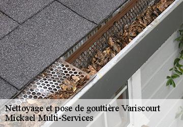 Nettoyage et pose de gouttière variscourt-02190 Mickael Multi-Services