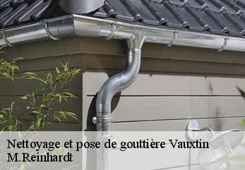 Nettoyage et pose de gouttière vauxtin-02220 M.Reinhardt