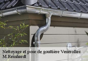 Nettoyage et pose de gouttière  venerolles-02510 M.Reinhardt