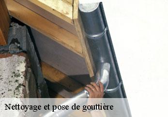 Nettoyage et pose de gouttière  venizel-02200 M.Reinhardt