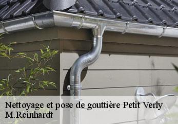 Nettoyage et pose de gouttière  petit-verly-02630 M.Reinhardt