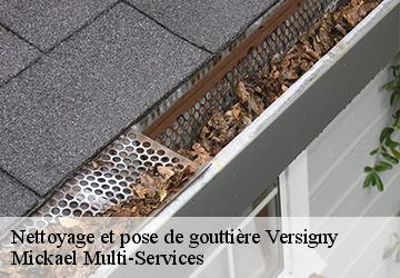 Nettoyage et pose de gouttière versigny-02800 Mickael Multi-Services