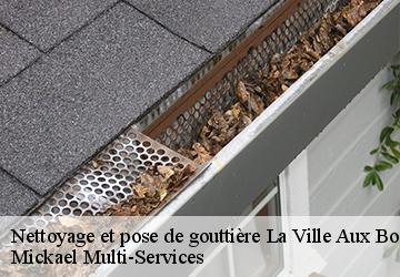 Nettoyage et pose de gouttière la-ville-aux-bois-les-dizy-02340 Mickael Multi-Services