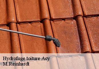 Hydrofuge toiture  acy-02200 M.Reinhardt