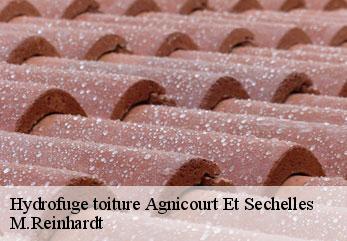 Hydrofuge toiture  agnicourt-et-sechelles-02340 M.Reinhardt